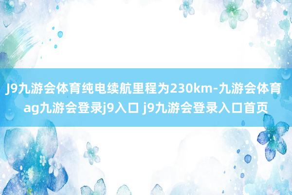 J9九游会体育纯电续航里程为230km-九游会体育 ag九游会登录j9入口 j9九游会登录入口首页